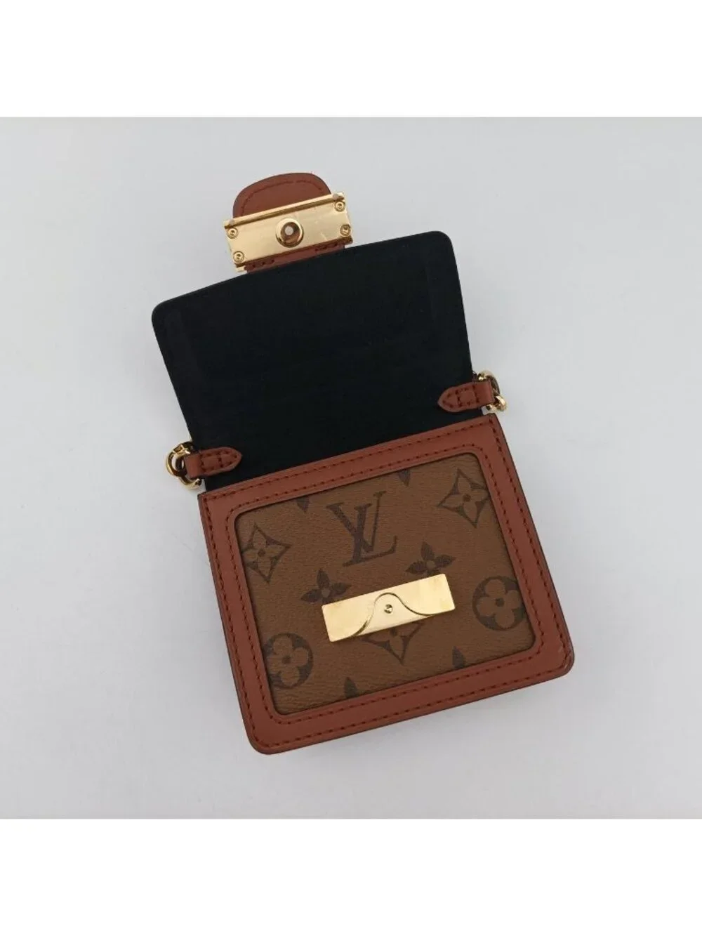 Louis Vuitton brand louis